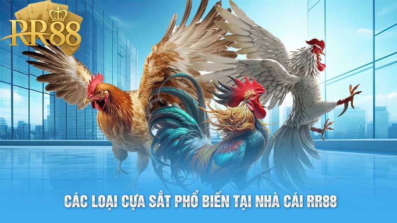 Các Loại Cựa Sắt Phổ Biến Tại Nhà Cái RR88