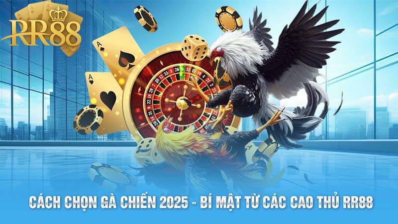 cách chọn gà chiến