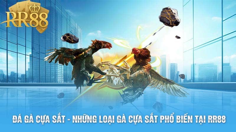 Đá gà cựa sắt