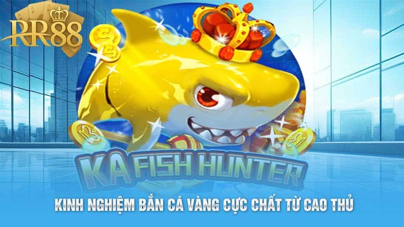 Kinh Nghiệm Bắn Cá Vàng Cực Chất Từ Cao Thủ