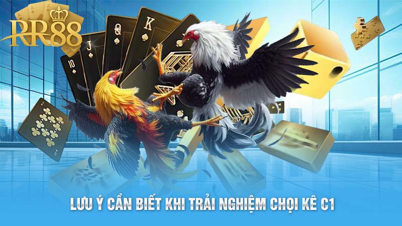 Lưu ý cần biết khi trải nghiệm chọi kê C1