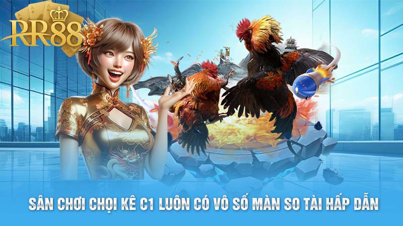 Sân chơi chọi kê C1 luôn có vô số màn so tài hấp dẫn